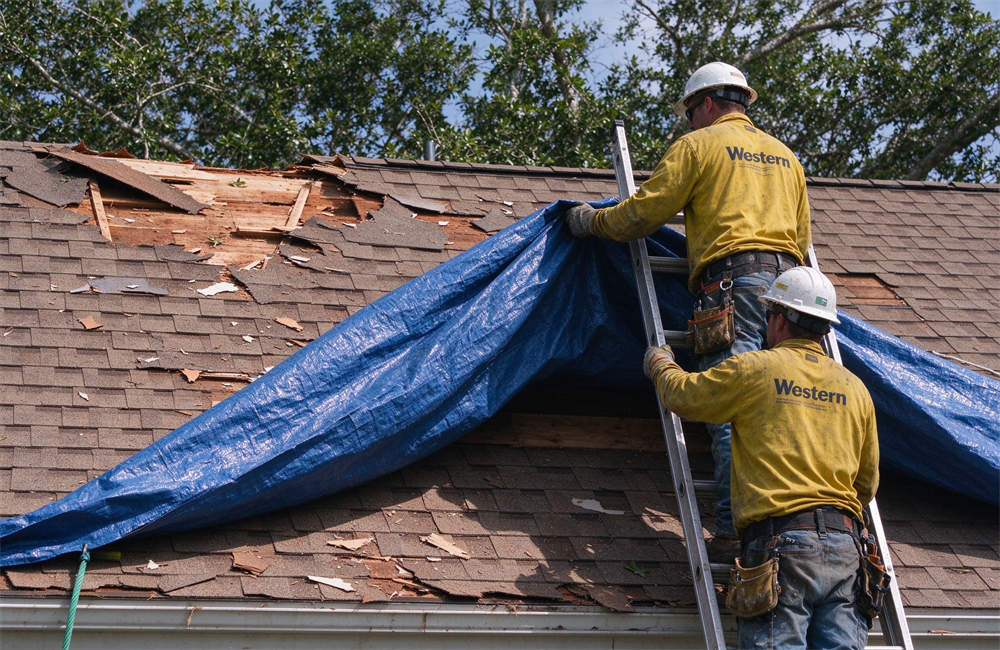 Workers installing polyethylene emergency tarp on damaged house roof after high wind, temporary roof repair tarp for windstorm damage mitigation and disaster recovery