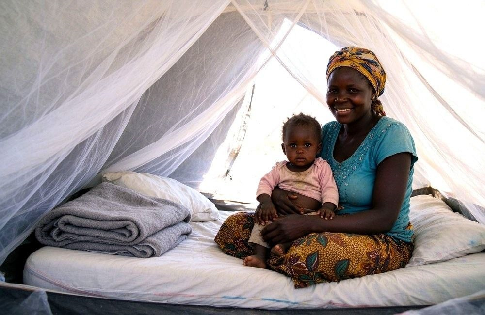 Mosquito net covering a family sleeping area inside a camp tent after displacement, showing emergency bedding refugee camps with net protection