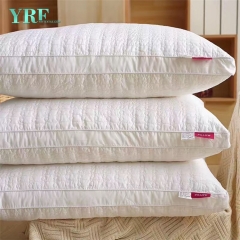 bantal kecil universiti profesional