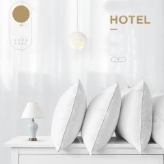 Borong Bantal Hotel Saiz Standard 5 Bintang