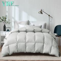 Quilts Borong Hotel White 4 Seasons White Goose Down