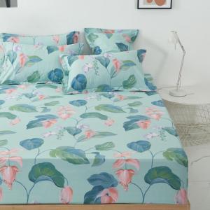 Hypoallergenic Printed Fitted Sheet